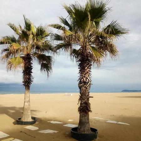 Casa Qui A 300 Mt Dal Mare *